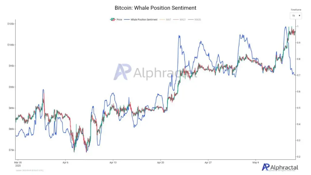 Bitcoin Whale Activity