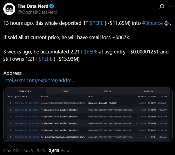 Pepe Meme Coin Whale Deposit