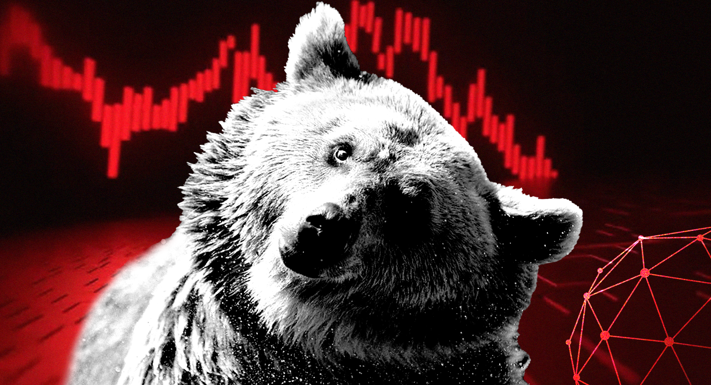 Crypto Bear Market