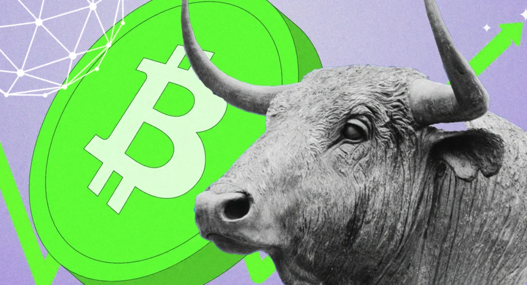 Bitcoin Rebound