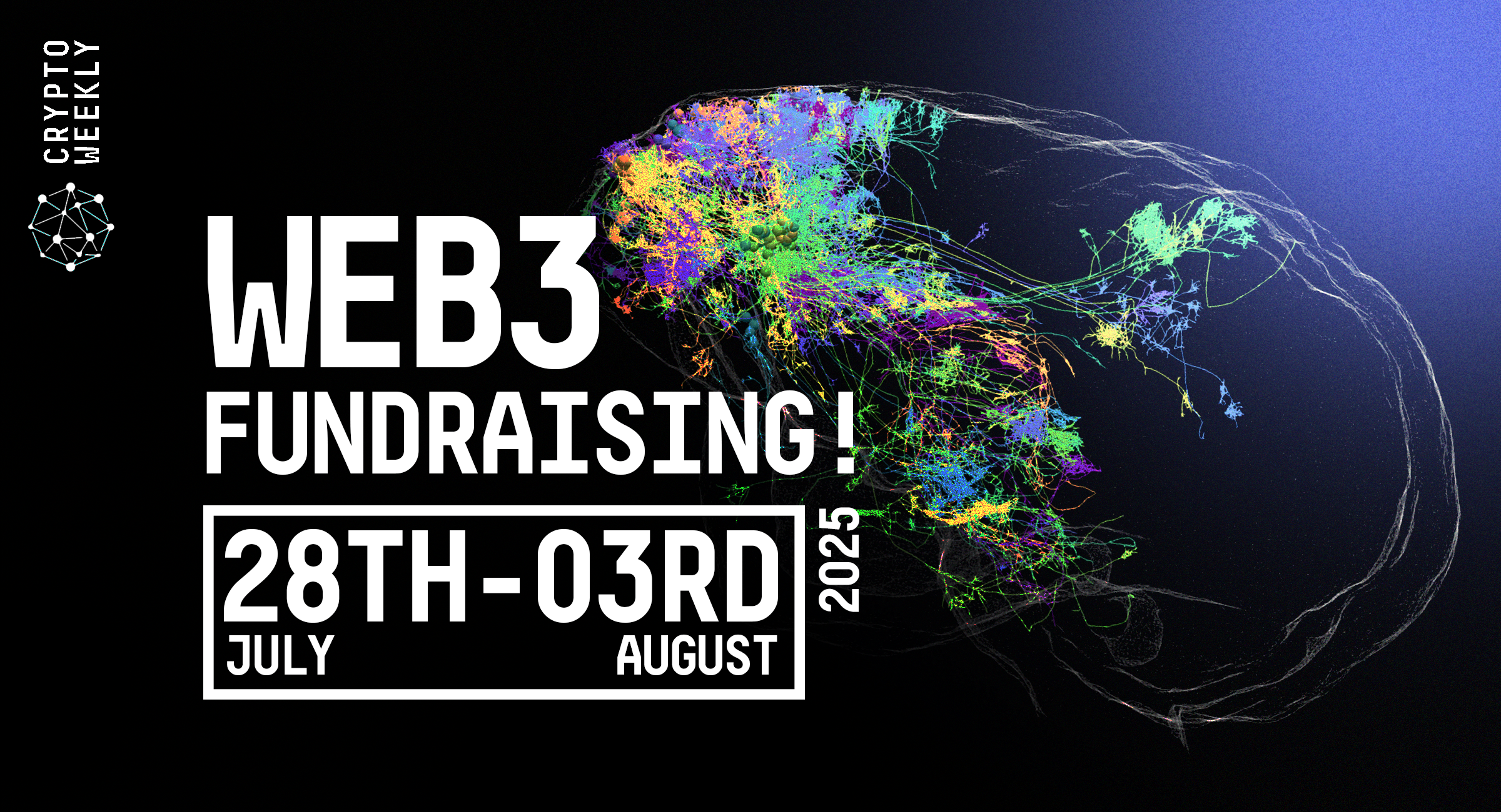 Web3 Fundraising 28th July 2025