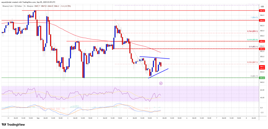 BNB USD 5th Sept 2025