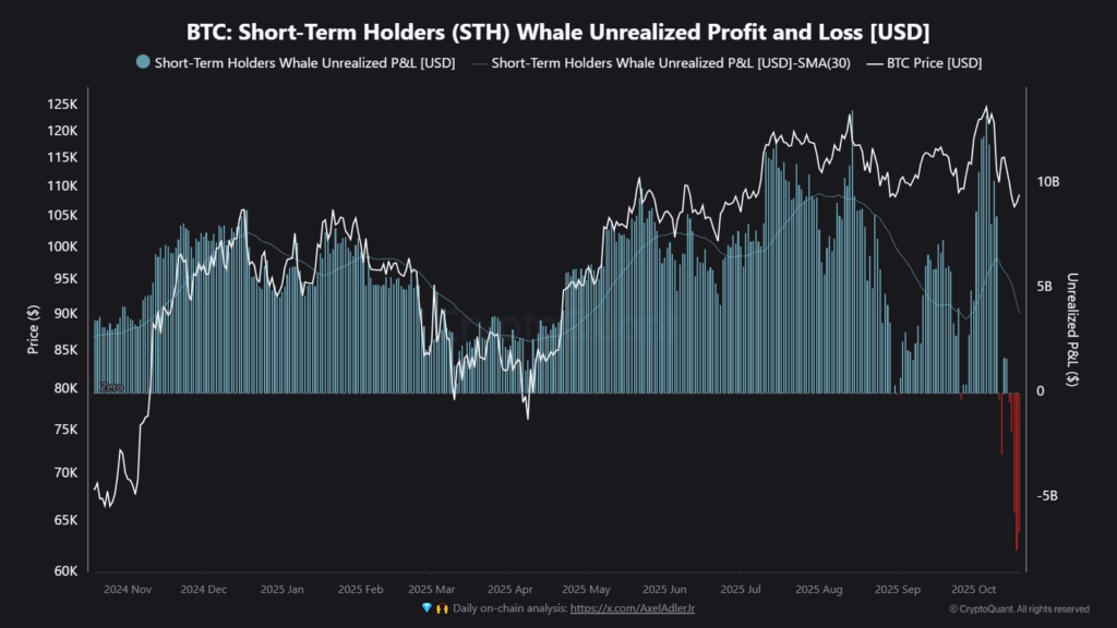 Bitcoin Short Term Holders